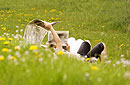 Steirische Spezialitäten Online Magazin