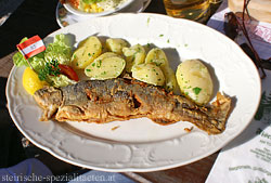 Seesaibling aus der Genussregion Ausseerland