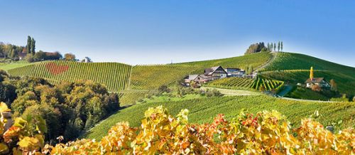 Weingut Tschermonegg