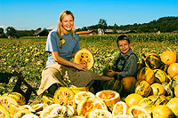 Kürbis putzen