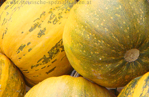 Steirischer Ölkürbis Steirischer Ölkürbis