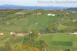 Steirisches Weingebiet