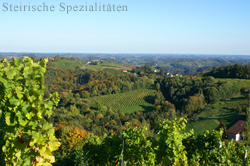 Weinbauregion Steiermark