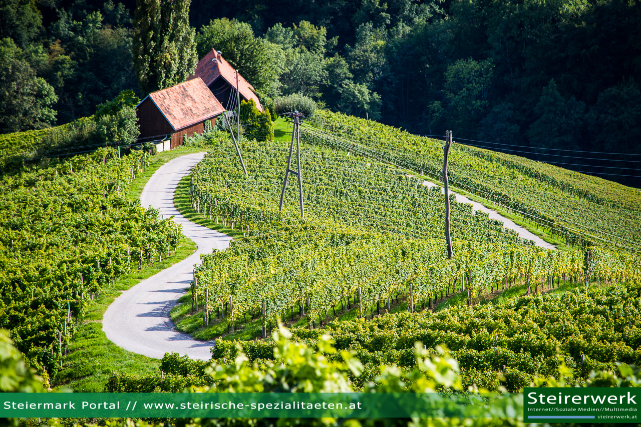 Herzerl Straße nahe der Südsteiermark Reise Steiermark