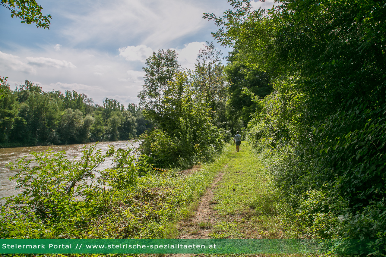 wanderweg mur