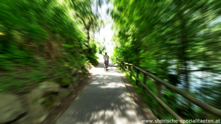 Radfahren Steiermark