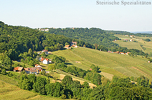 Südoststeiermark - Kren Anbaugebiet