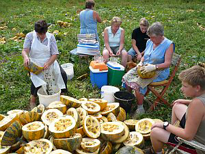 Kürbis putzen - Foto eibe-webdesign Kürbis putzen