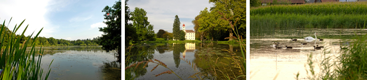 Steirische Teichland Fotos