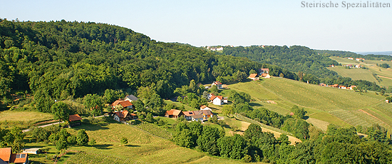 Südoststeirische Weingebiet