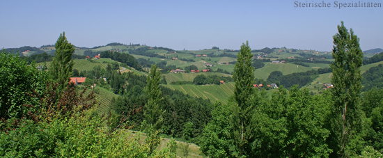 Südsteirische Weingebiet