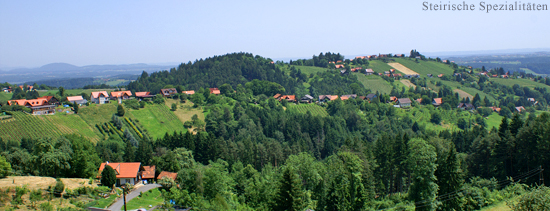 Weststeirische Weingebiet