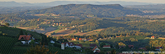 Sausaler Weinstrasse Aussicht