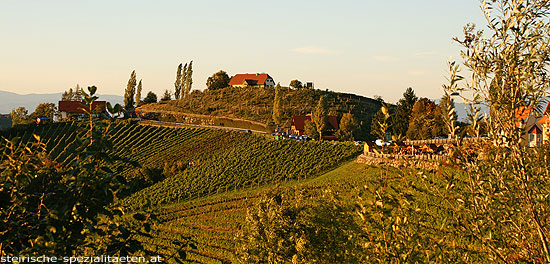 Sausaler Weinstraße bei Kitzeck