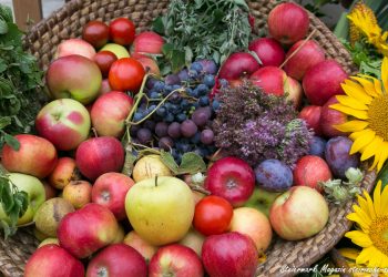 Obst Saisonkalender