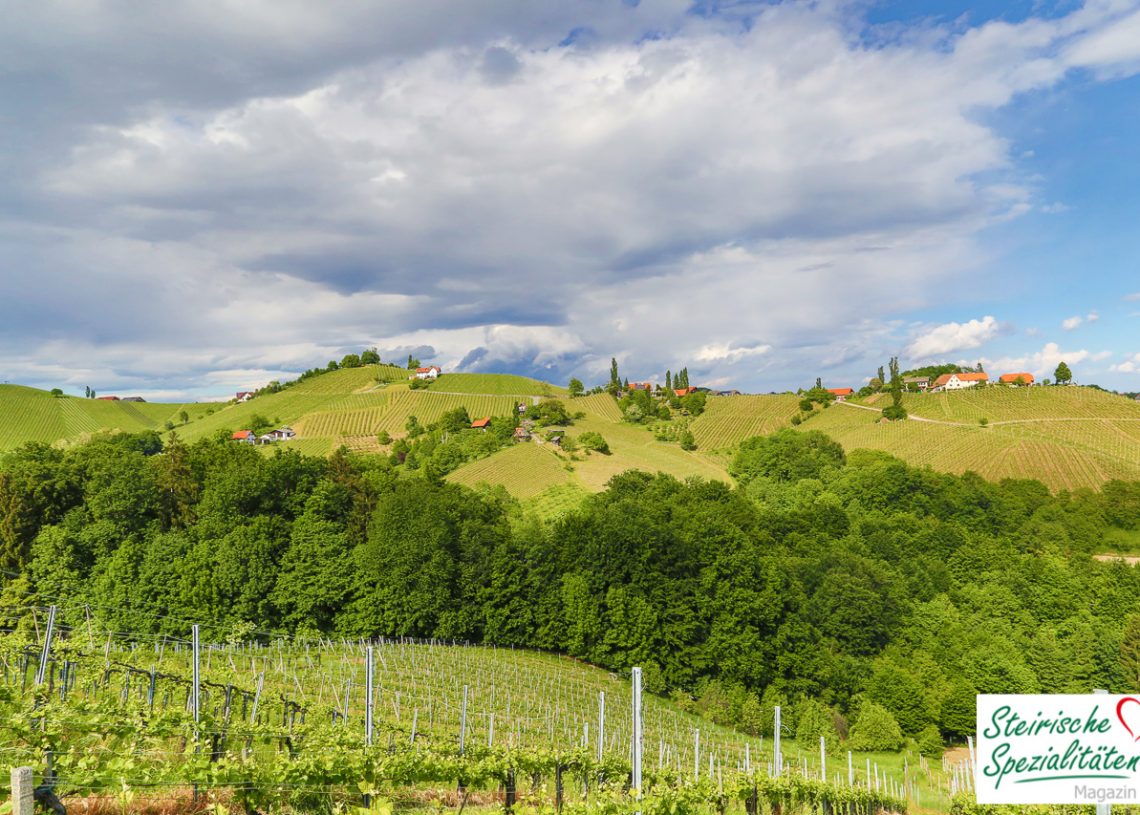 Steiermark Weinstraßen laden zum Besuch ein Steirische Spezialitäten