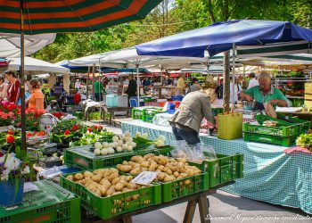 Kaiser-Franz-Josef Bauernmarkt