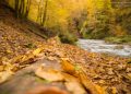 Deutschlandsberg Klause Blätter im Herbst