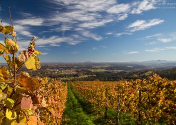 Schilcher Weinstraße Herbst