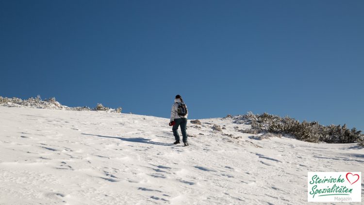 Schneewanderung in der Steirmark im Urlaub