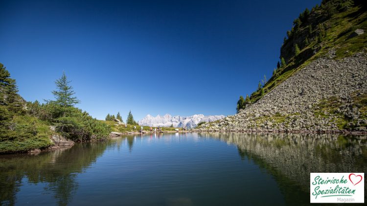 Reiteralm Spiegelsee Blick auf Dachstein