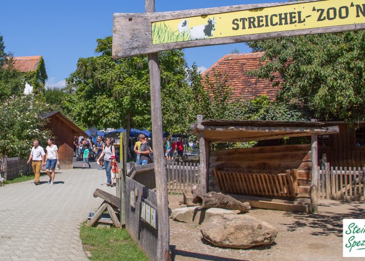 Streichelzoo im Tierpark Herbserstein