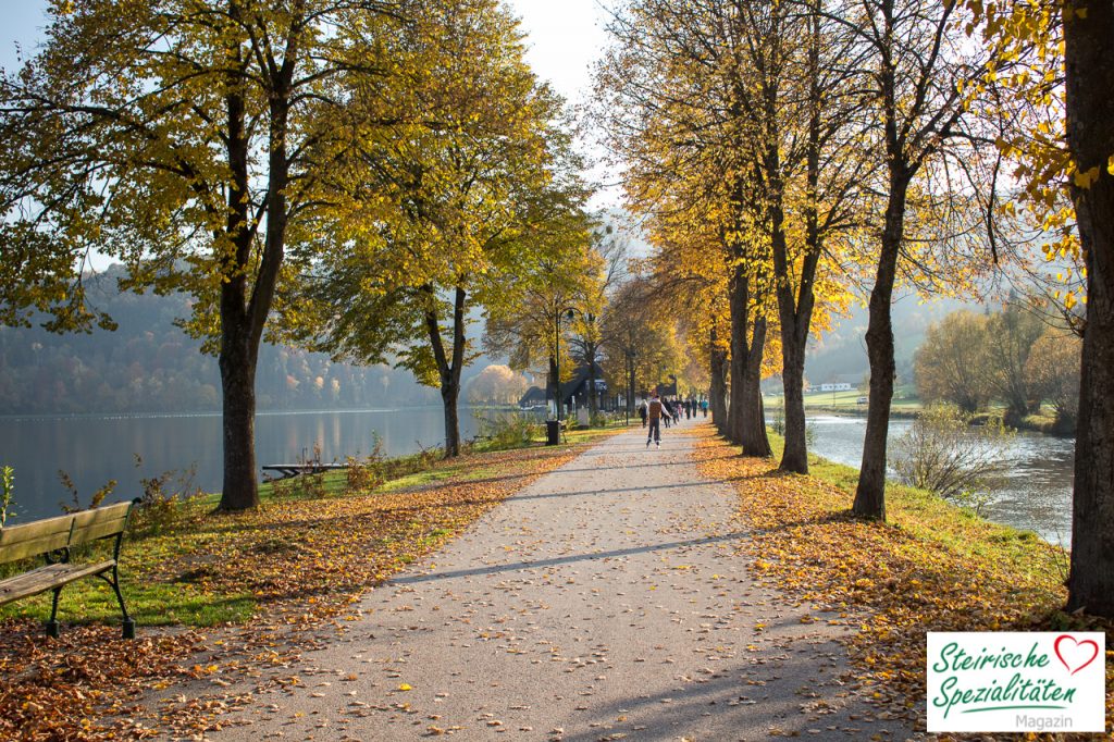 Rundweg Stubenbergsee