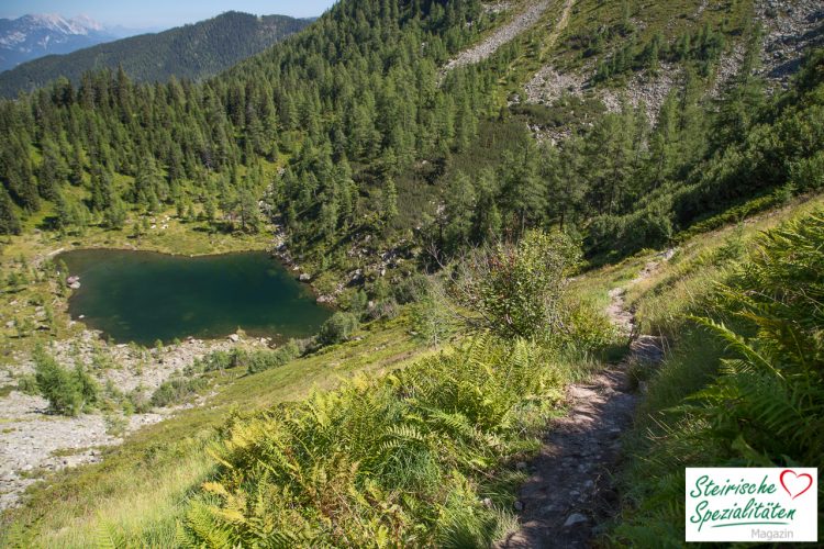 Wanderung Untersee Reiteralm