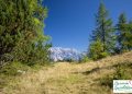 Reiteralm Wandern Dachstein