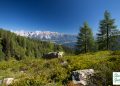 Wanderweg Reiteralm