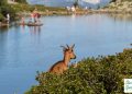 Spiegelsee Besucher