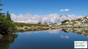 Spiegelsee Fotografieren