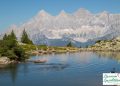 Spiegelsee schwimmen