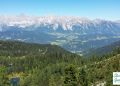 Wald Berg See