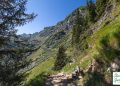 Wanderweg Reiteralm Spiegelsee