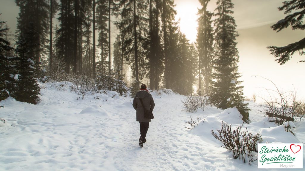 Wandern Ödensee Winter