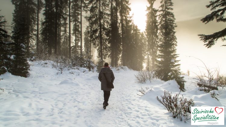 Wandern Ödensee Winter