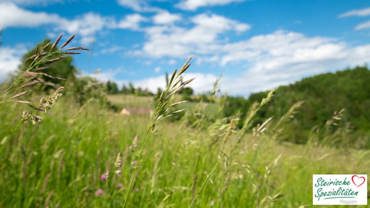 Osterurlaub Steiermark