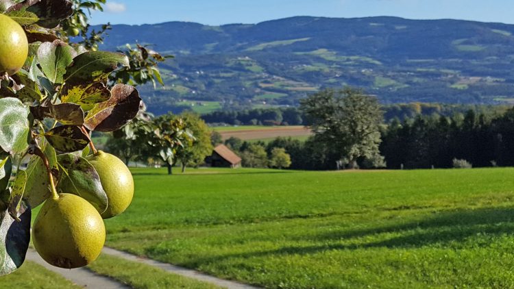 Ausflug Naturpark Pöllauer Tal