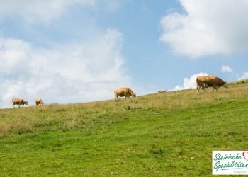 Almo Rindfleisch aus der Steiermark