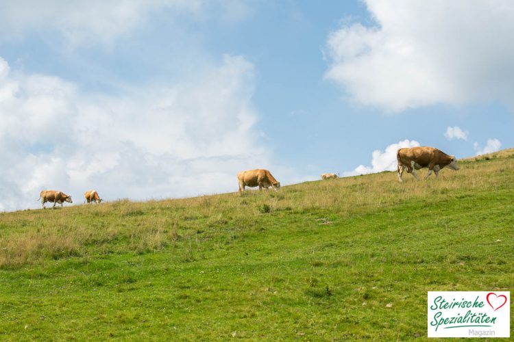 Almo Rindfleisch aus der Steiermark