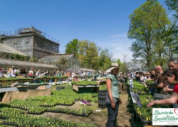 Pflanzen Raritätenmarkt der Arche Noah im Botanischen Garten