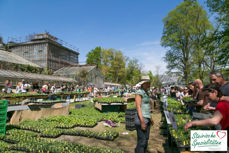 Pflanzen Raritätenmarkt der Arche Noah im Botanischen Garten