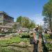 Pflanzen Raritätenmarkt der Arche Noah im Botanischen Garten