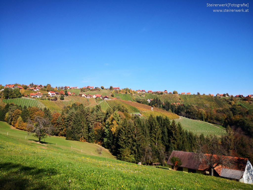 Weinbau in Hochgrail im Herbst