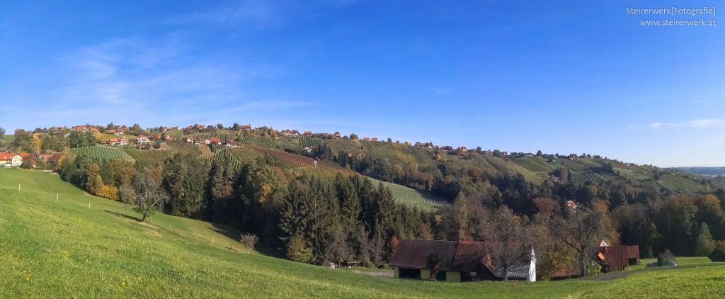 Weingärten von Hochgrail Panorama