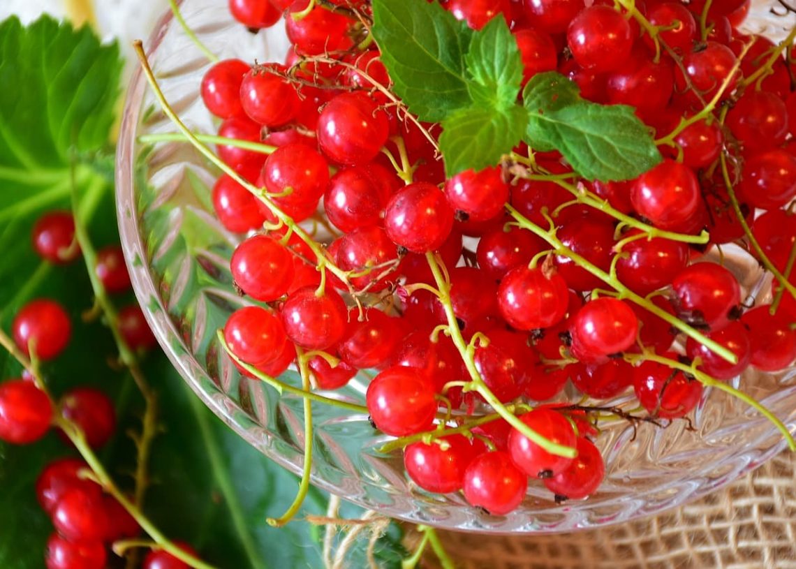 Beeren im Sommer: Ein Überblick über die Sortenvielfalt