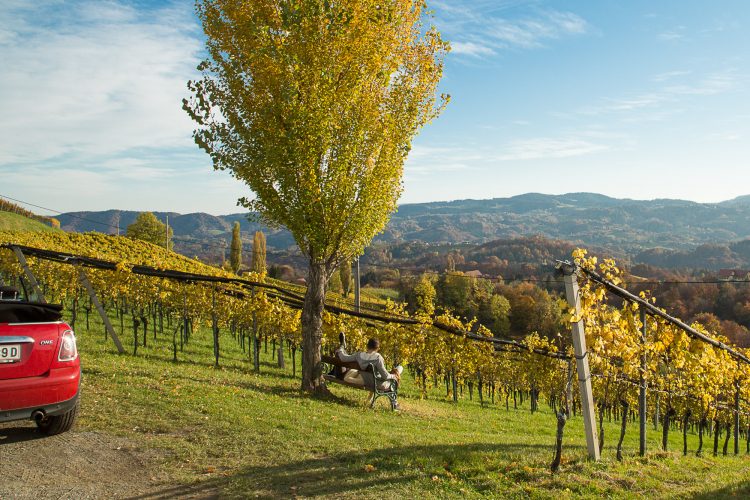 Ausflug in die Südsteiermark mit dem Auto