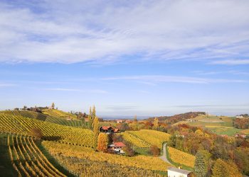 Südsteiermark Herbst