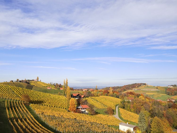 Südsteiermark Herbst